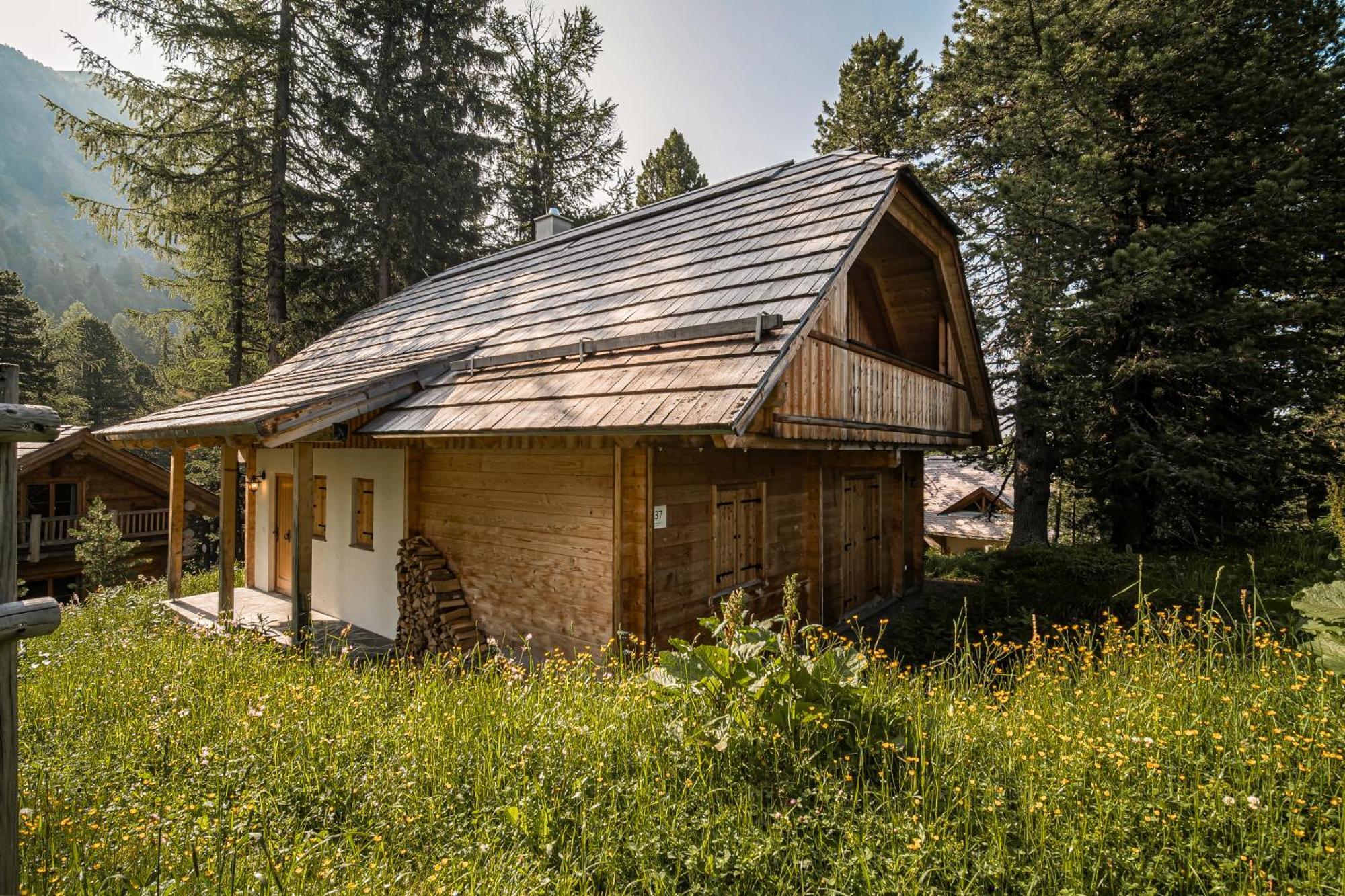 Alpin-Hutten Auf Der Turracherhohe Haus Murmeltier By S4Y Turracher Hohe Eksteriør billede