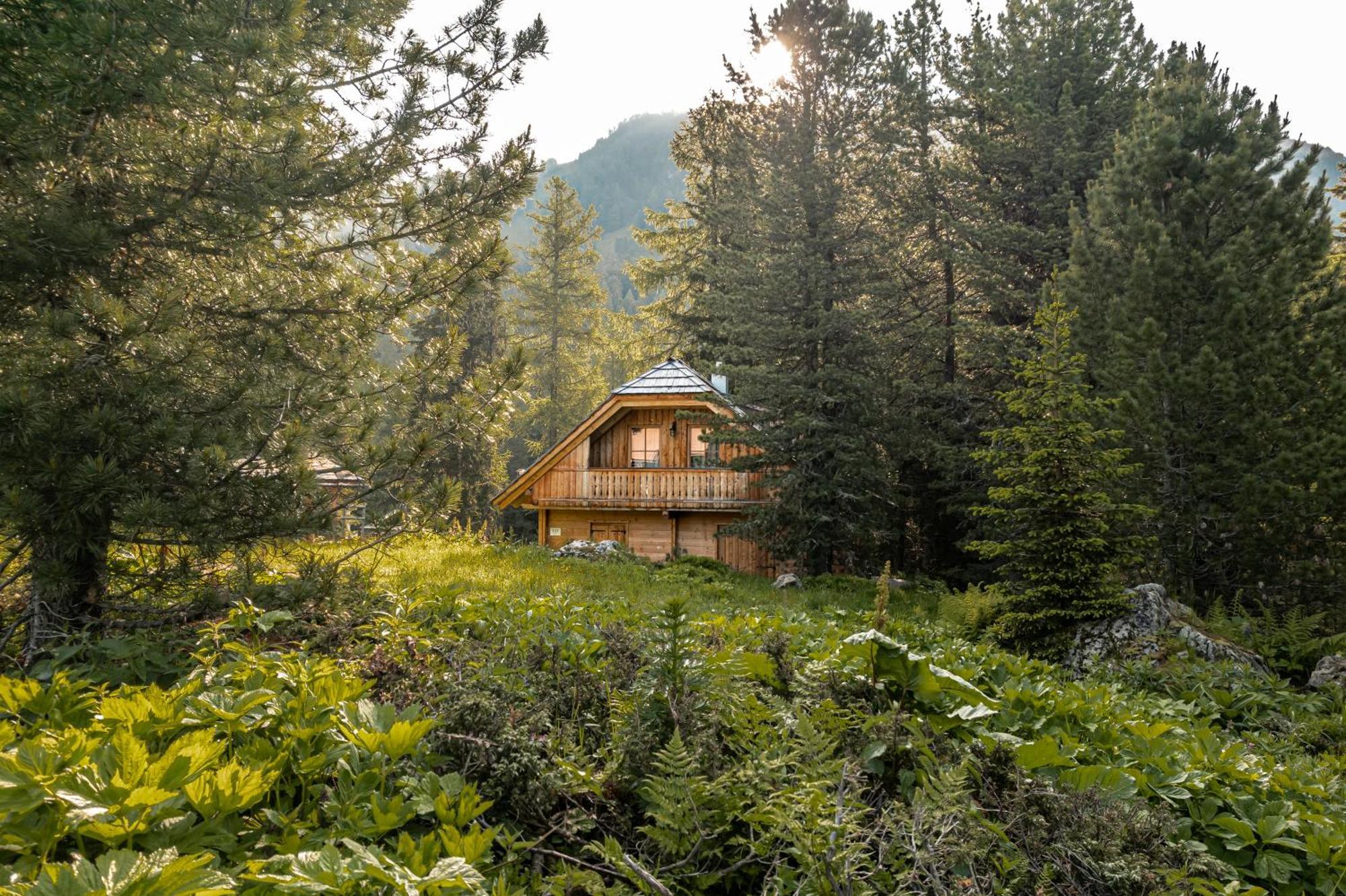 Alpin-Hutten Auf Der Turracherhohe Haus Murmeltier By S4Y Turracher Hohe Eksteriør billede